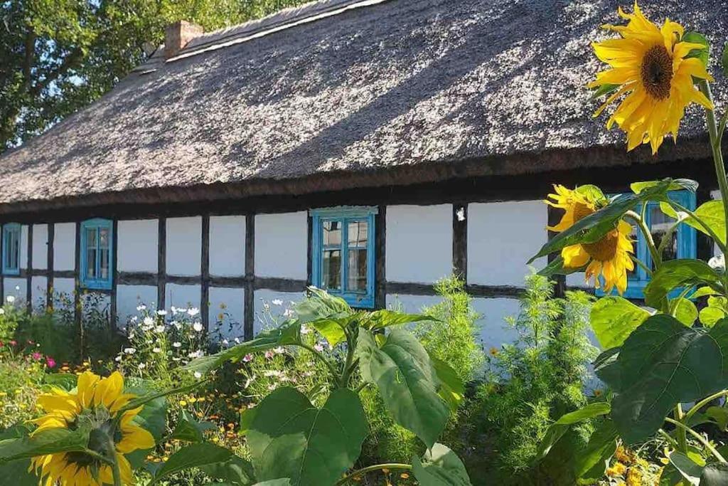 Apartament Nad Morzem „Przy Klifie” Debina  Eksteriør bilde